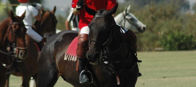 Clinic Infantil Club de Polo La Capilla