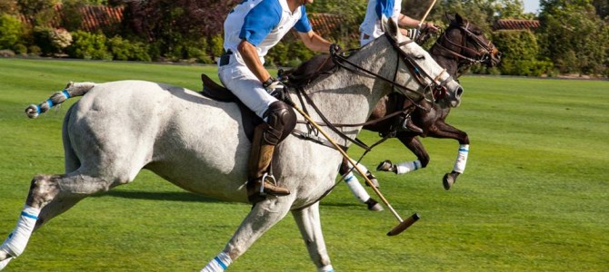 Valdeparras campeón en Madrid del Torneo Puerta de Hierro de Bajo Hándicap