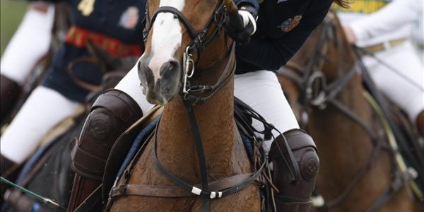 CAMPEONATO DE ESPAÑA FEMENINO DE POLO 2014