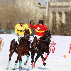 Campeonato del Mundo Snow Polo