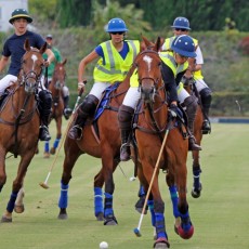 Torneo Infantil Copa Sotogrande International School