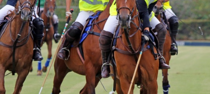 Torneo Infantil Copa Sotogrande International School