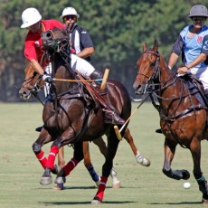 TORNEO FUNDACIÓN SANTA MARÍA POLO