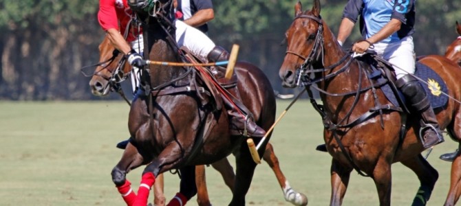 TORNEO FUNDACIÓN SANTA MARÍA POLO