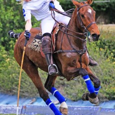 CAMPEONATO DE ESPAÑA FEMENINO