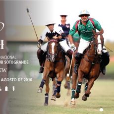 45º Torneo Internacional INDI de Polo en Sotogrande