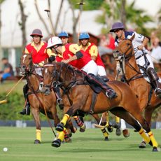 Santa María Polo Club acoge la II Copa Patrick G. Hermès y el XIV Memorial Conde de la Maza