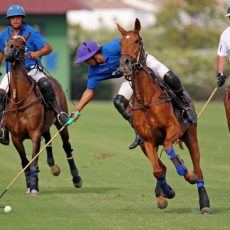 Santa María Polo Club acoge el Memorial José Ignacio Domecq en Semana Santa