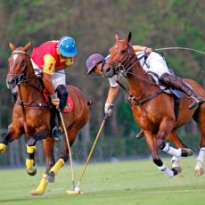 Comenzaron el V Memorial Dª Mª de las Mercedes y el XIX Memorial Andrés Parladé en Sta. María Polo Club