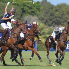 Final en vivo de la Copa de Oro de Sotogrande